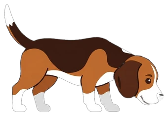 A beagle sniffing the ground